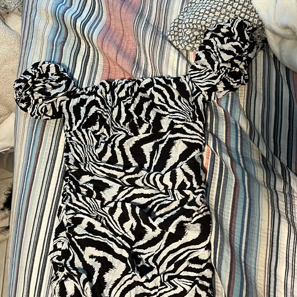 Fate Zebra Off the Shoulder Dress